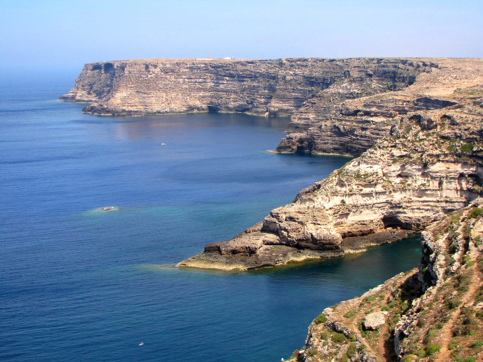 The dramatic limestone cliffs of Lampedusa's north-eastern coast, dropping straight into deep blue Mediterranean water.