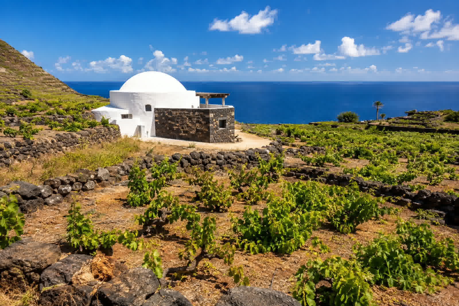 A traditional white domed dammuso house on Pantelleria, Sicily, with dry-stone terraced vineyards and the blue sea in the background under bright sunlight.