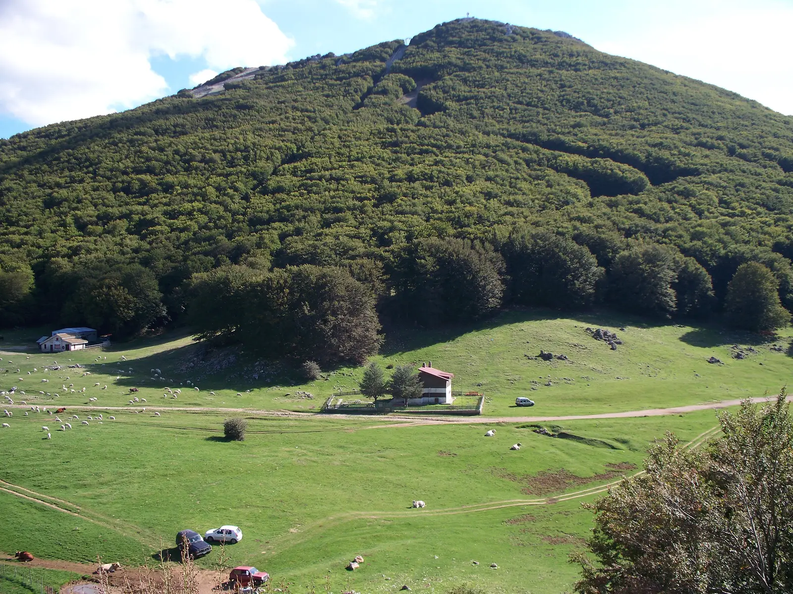 The same plateau at Piano Battaglia without snow, a green meadow with grazing animals below beech-covered slopes and a stone refuge building
