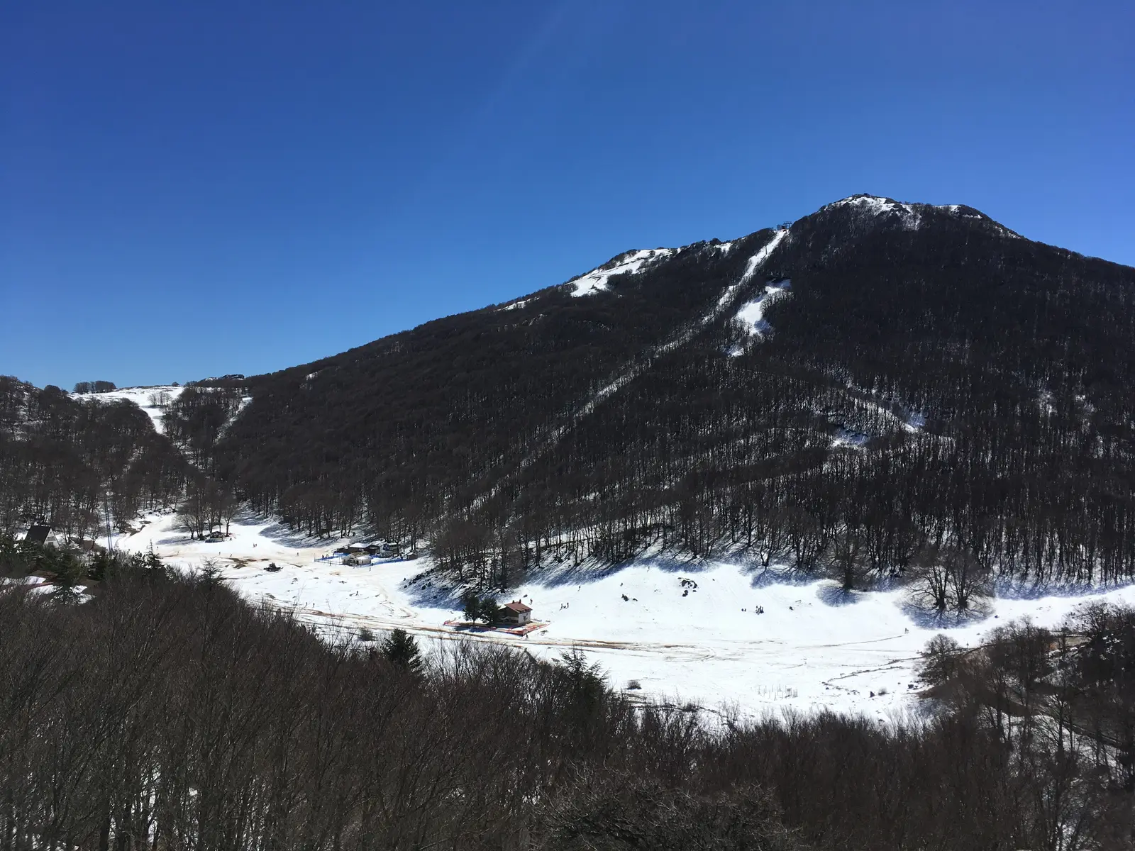Snow-covered slopes at Piano Battaglia in the Madonie mountains of Sicily, with a cleared ski piste running down through beech woods under a deep blue sky.