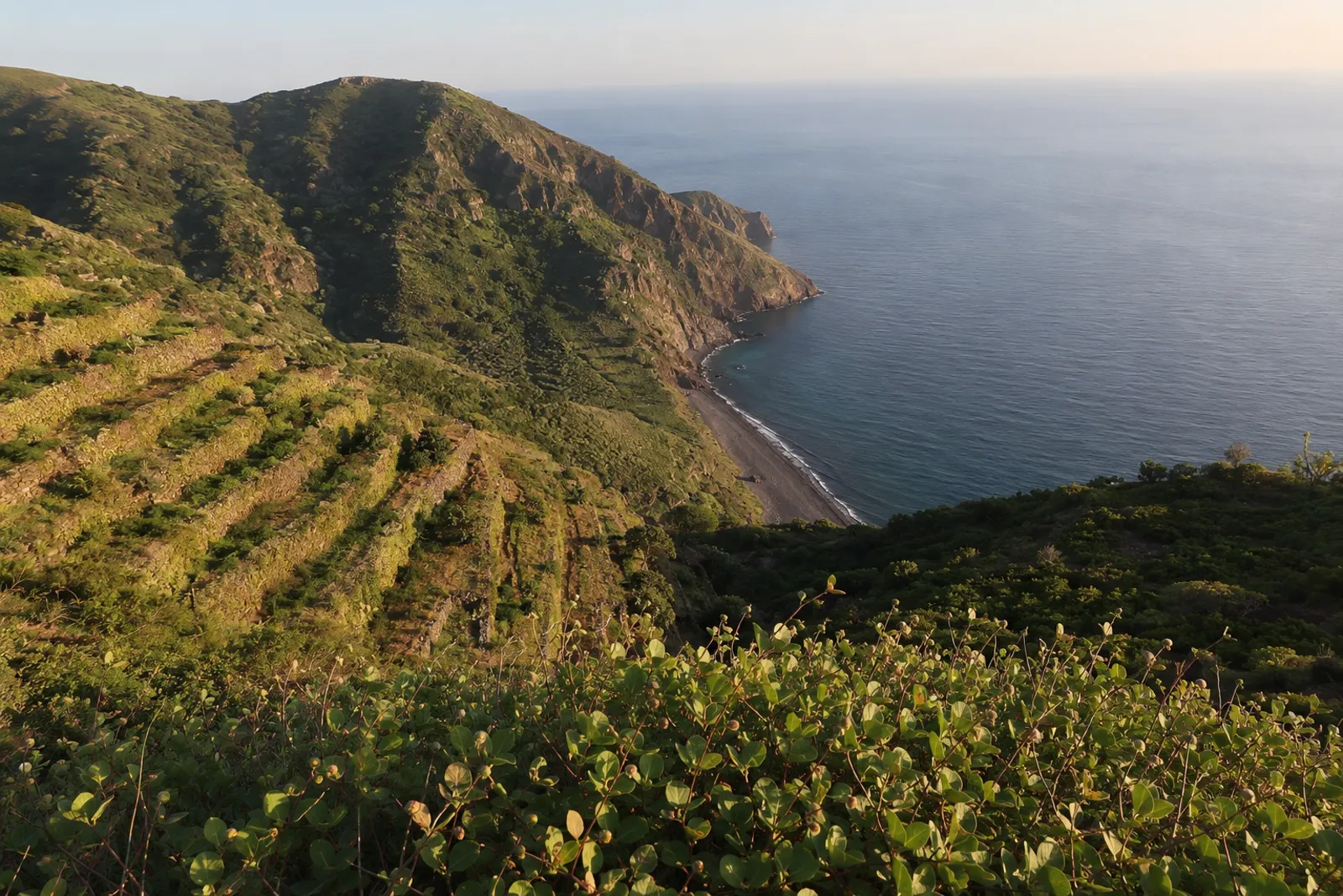 The green, terraced hills of Salina island in the Aeolian archipelago, descending toward a small pebble cove with the sea stretching out beyond it.