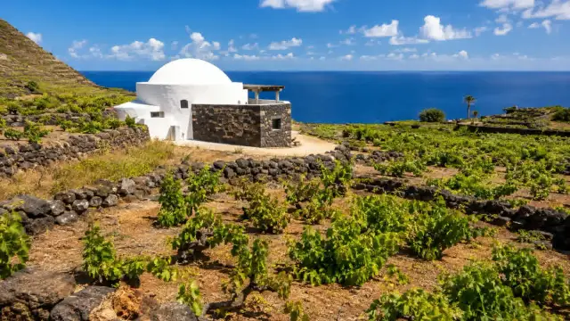 A traditional white domed dammuso house on Pantelleria, Sicily, with dry-stone terraced vineyards and the blue sea in the background under bright sunlight.
